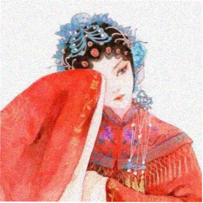 读者沉舟侧头像